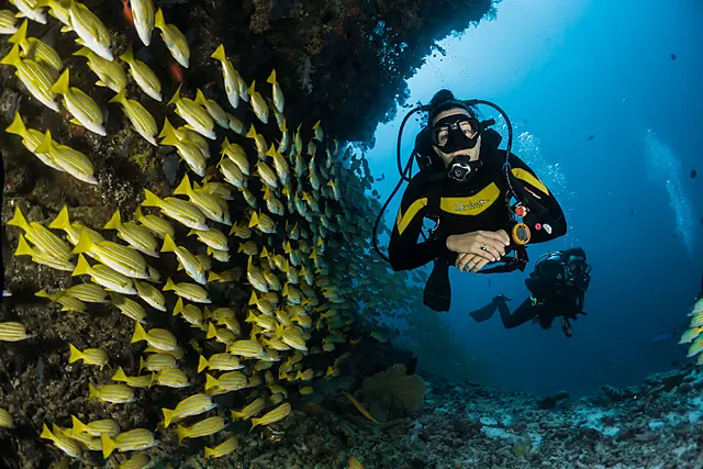 Sharm — immersioni nel Mar Rosso