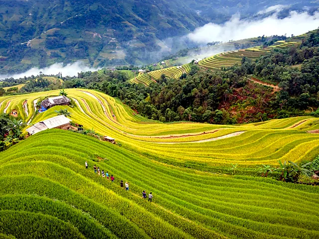Vietnam