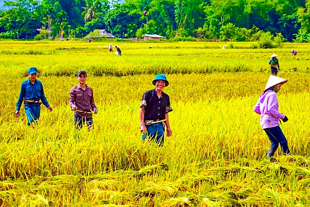 Vietnam