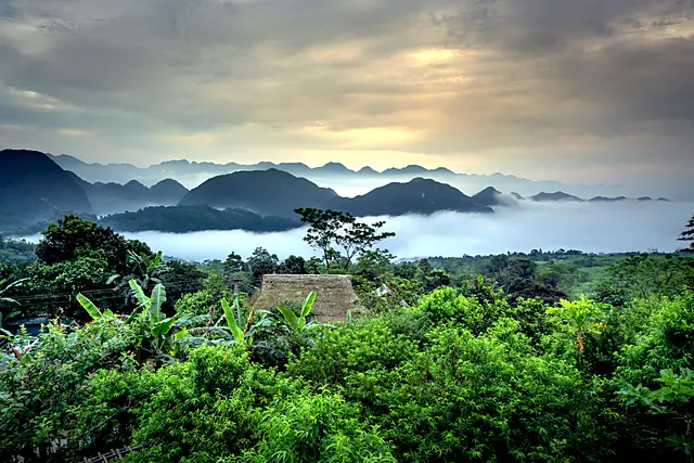 Vietnam
